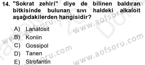 Temel Veteriner Farmakoloji ve Toksikoloji Dersi 2017 - 2018 Yılı (Final) Dönem Sonu Sınavı 14. Soru