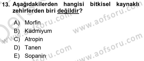 Temel Veteriner Farmakoloji ve Toksikoloji Dersi 2018 - 2019 Yılı 3 Ders Sınavı 13. Soru