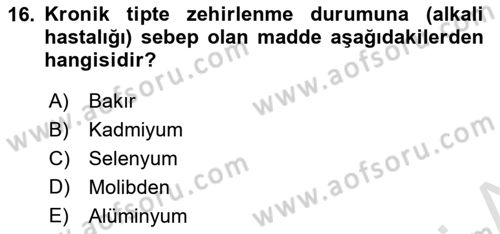 Temel Veteriner Farmakoloji ve Toksikoloji Dersi 2018 - 2019 Yılı 3 Ders Sınav Soruları 16. Soru