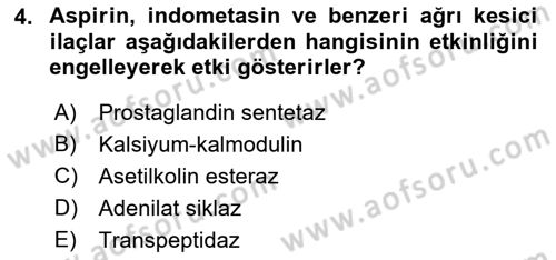 Temel Veteriner Farmakoloji ve Toksikoloji Dersi 2018 - 2019 Yılı 3 Ders Sınavı 4. Soru