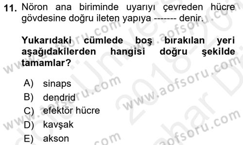 Temel Veteriner Farmakoloji ve Toksikoloji Dersi 2018 - 2019 Yılı (Vize) Ara Sınav Soruları 11. Soru