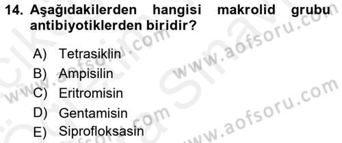 Temel Veteriner Farmakoloji ve Toksikoloji Dersi 2018 - 2019 Yılı (Vize) Ara Sınav Soruları 14. Soru
