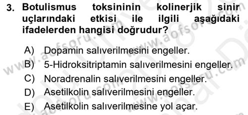 Temel Veteriner Farmakoloji ve Toksikoloji Dersi 2018 - 2019 Yılı (Vize) Ara Sınav Soruları 3. Soru