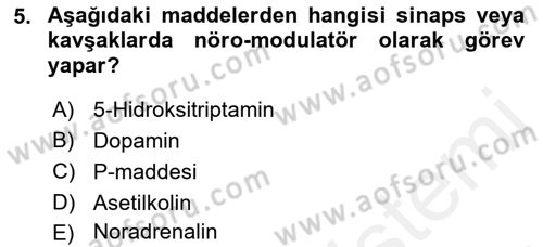 Temel Veteriner Farmakoloji ve Toksikoloji Dersi 2018 - 2019 Yılı (Vize) Ara Sınav Soruları 5. Soru