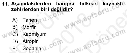 Temel Veteriner Farmakoloji ve Toksikoloji Dersi 2018 - 2019 Yılı (Final) Dönem Sonu Sınavı 11. Soru