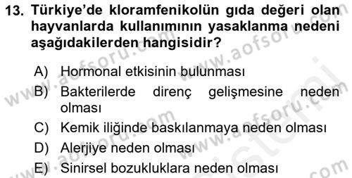 Temel Veteriner Farmakoloji ve Toksikoloji Dersi 2018 - 2019 Yılı (Final) Dönem Sonu Sınav Soruları 13. Soru