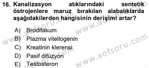 Temel Veteriner Farmakoloji ve Toksikoloji Dersi 2018 - 2019 Yılı (Final) Dönem Sonu Sınav Soruları 16. Soru