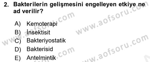 Temel Veteriner Farmakoloji ve Toksikoloji Dersi 2018 - 2019 Yılı (Final) Dönem Sonu Sınav Soruları 2. Soru