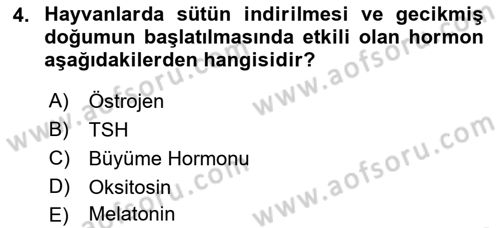 Temel Veteriner Farmakoloji ve Toksikoloji Dersi 2018 - 2019 Yılı (Final) Dönem Sonu Sınav Soruları 4. Soru