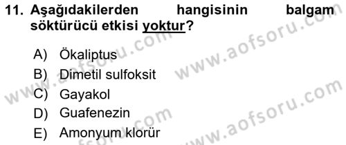 Temel Veteriner Farmakoloji ve Toksikoloji Dersi 2018 - 2019 Yılı Yaz Okulu Sınavı 11. Soru