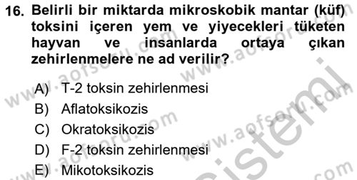 Temel Veteriner Farmakoloji ve Toksikoloji Dersi 2018 - 2019 Yılı Yaz Okulu Sınav Soruları 16. Soru