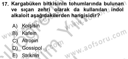 Temel Veteriner Farmakoloji ve Toksikoloji Dersi 2018 - 2019 Yılı Yaz Okulu Sınavı 17. Soru