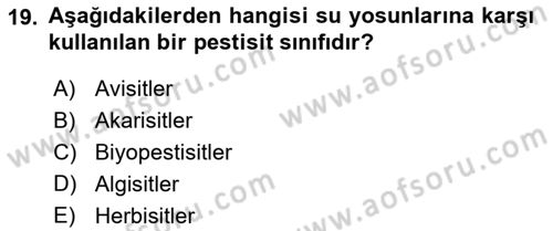 Temel Veteriner Farmakoloji ve Toksikoloji Dersi 2018 - 2019 Yılı Yaz Okulu Sınavı 19. Soru