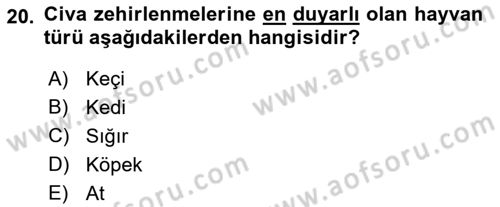 Temel Veteriner Farmakoloji ve Toksikoloji Dersi 2018 - 2019 Yılı Yaz Okulu Sınav Soruları 20. Soru