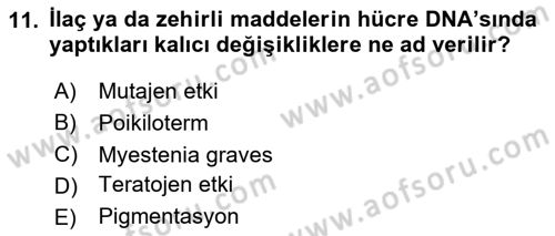 Temel Veteriner Farmakoloji ve Toksikoloji Dersi 2020 - 2021 Yılı Yaz Okulu Sınav Soruları 11. Soru