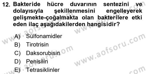 Temel Veteriner Farmakoloji ve Toksikoloji Dersi 2020 - 2021 Yılı Yaz Okulu Sınav Soruları 12. Soru