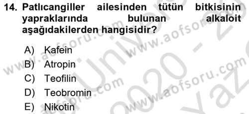Temel Veteriner Farmakoloji ve Toksikoloji Dersi 2020 - 2021 Yılı Yaz Okulu Sınav Soruları 14. Soru
