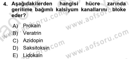 Temel Veteriner Farmakoloji ve Toksikoloji Dersi 2020 - 2021 Yılı Yaz Okulu Sınav Soruları 4. Soru