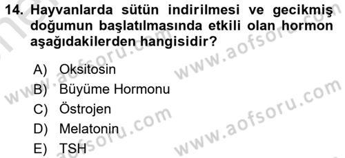 Temel Veteriner Farmakoloji ve Toksikoloji Dersi 2021 - 2022 Yılı (Vize) Ara Sınav Soruları 14. Soru