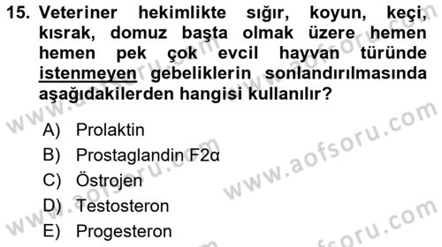 Temel Veteriner Farmakoloji ve Toksikoloji Dersi 2021 - 2022 Yılı (Vize) Ara Sınav Soruları 15. Soru