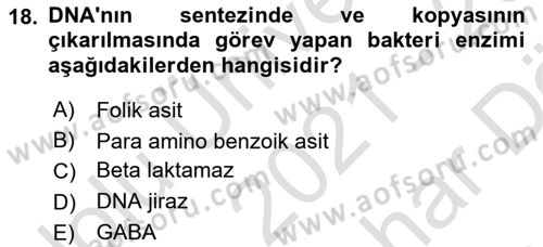 Temel Veteriner Farmakoloji ve Toksikoloji Dersi 2021 - 2022 Yılı (Vize) Ara Sınavı 18. Soru