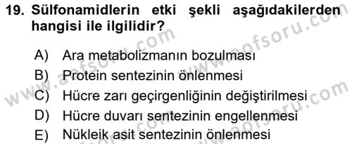 Temel Veteriner Farmakoloji ve Toksikoloji Dersi 2021 - 2022 Yılı (Vize) Ara Sınavı 19. Soru