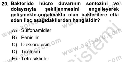 Temel Veteriner Farmakoloji ve Toksikoloji Dersi 2021 - 2022 Yılı (Vize) Ara Sınav Soruları 20. Soru