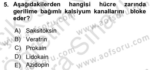 Temel Veteriner Farmakoloji ve Toksikoloji Dersi 2021 - 2022 Yılı (Vize) Ara Sınavı 5. Soru