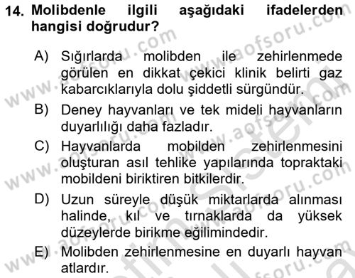 Temel Veteriner Farmakoloji ve Toksikoloji Dersi 2021 - 2022 Yılı (Final) Dönem Sonu Sınav Soruları 14. Soru