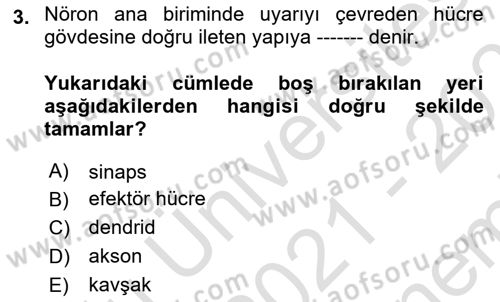 Temel Veteriner Farmakoloji ve Toksikoloji Dersi 2021 - 2022 Yılı (Final) Dönem Sonu Sınavı 3. Soru