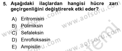 Temel Veteriner Farmakoloji ve Toksikoloji Dersi 2021 - 2022 Yılı (Final) Dönem Sonu Sınav Soruları 5. Soru