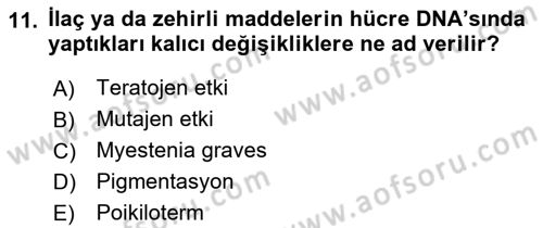 Temel Veteriner Farmakoloji ve Toksikoloji Dersi 2021 - 2022 Yılı Yaz Okulu Sınav Soruları 11. Soru