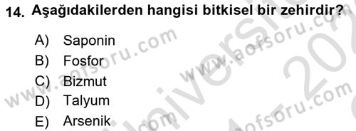 Temel Veteriner Farmakoloji ve Toksikoloji Dersi 2021 - 2022 Yılı Yaz Okulu Sınavı 14. Soru