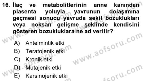 Temel Veteriner Farmakoloji ve Toksikoloji Dersi 2021 - 2022 Yılı Yaz Okulu Sınav Soruları 16. Soru
