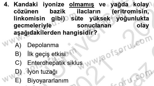 Temel Veteriner Farmakoloji ve Toksikoloji Dersi 2021 - 2022 Yılı Yaz Okulu Sınav Soruları 4. Soru
