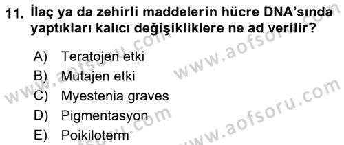 Temel Veteriner Farmakoloji ve Toksikoloji Dersi 2022 - 2023 Yılı Yaz Okulu Sınav Soruları 11. Soru