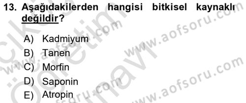Temel Veteriner Farmakoloji ve Toksikoloji Dersi 2022 - 2023 Yılı Yaz Okulu Sınav Soruları 13. Soru