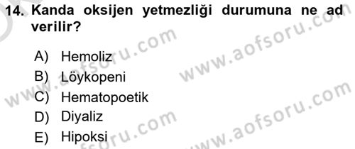 Temel Veteriner Farmakoloji ve Toksikoloji Dersi 2022 - 2023 Yılı Yaz Okulu Sınav Soruları 14. Soru