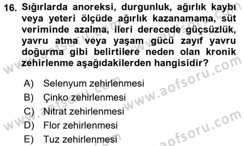 Temel Veteriner Farmakoloji ve Toksikoloji Dersi 2022 - 2023 Yılı Yaz Okulu Sınav Soruları 16. Soru