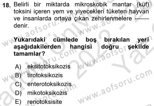 Temel Veteriner Farmakoloji ve Toksikoloji Dersi 2022 - 2023 Yılı Yaz Okulu Sınav Soruları 18. Soru