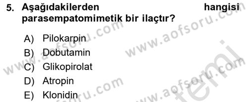 Temel Veteriner Farmakoloji ve Toksikoloji Dersi 2022 - 2023 Yılı Yaz Okulu Sınav Soruları 5. Soru