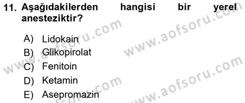 Temel Veteriner Farmakoloji ve Toksikoloji Dersi 2023 - 2024 Yılı (Vize) Ara Sınav Soruları 11. Soru