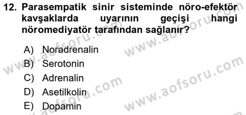 Temel Veteriner Farmakoloji ve Toksikoloji Dersi 2023 - 2024 Yılı (Vize) Ara Sınav Soruları 12. Soru
