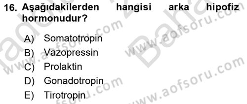 Temel Veteriner Farmakoloji ve Toksikoloji Dersi 2023 - 2024 Yılı (Vize) Ara Sınav Soruları 16. Soru