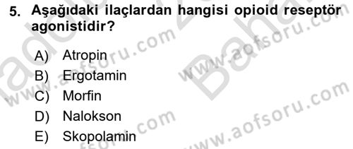 Temel Veteriner Farmakoloji ve Toksikoloji Dersi 2023 - 2024 Yılı (Vize) Ara Sınav Soruları 5. Soru