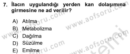 Temel Veteriner Farmakoloji ve Toksikoloji Dersi 2023 - 2024 Yılı (Vize) Ara Sınav Soruları 7. Soru