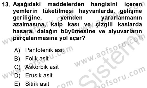 Temel Veteriner Farmakoloji ve Toksikoloji Dersi 2023 - 2024 Yılı (Final) Dönem Sonu Sınav Soruları 13. Soru