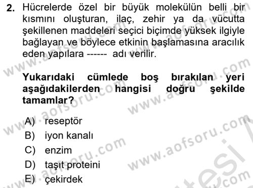 Temel Veteriner Farmakoloji ve Toksikoloji Dersi 2023 - 2024 Yılı (Final) Dönem Sonu Sınavı 2. Soru