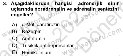 Temel Veteriner Farmakoloji ve Toksikoloji Dersi 2023 - 2024 Yılı (Final) Dönem Sonu Sınav Soruları 3. Soru
