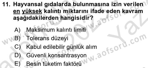 Temel Veteriner Farmakoloji ve Toksikoloji Dersi 2023 - 2024 Yılı Yaz Okulu Sınav Soruları 11. Soru